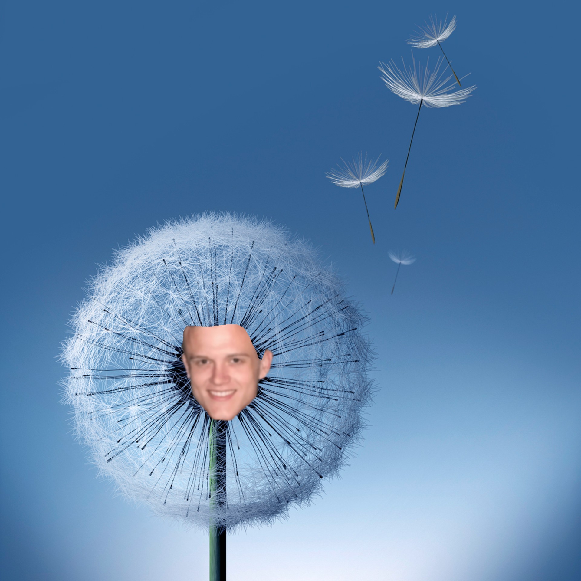Joe Bartolozzi in a Galaxy S3 Wallpaper