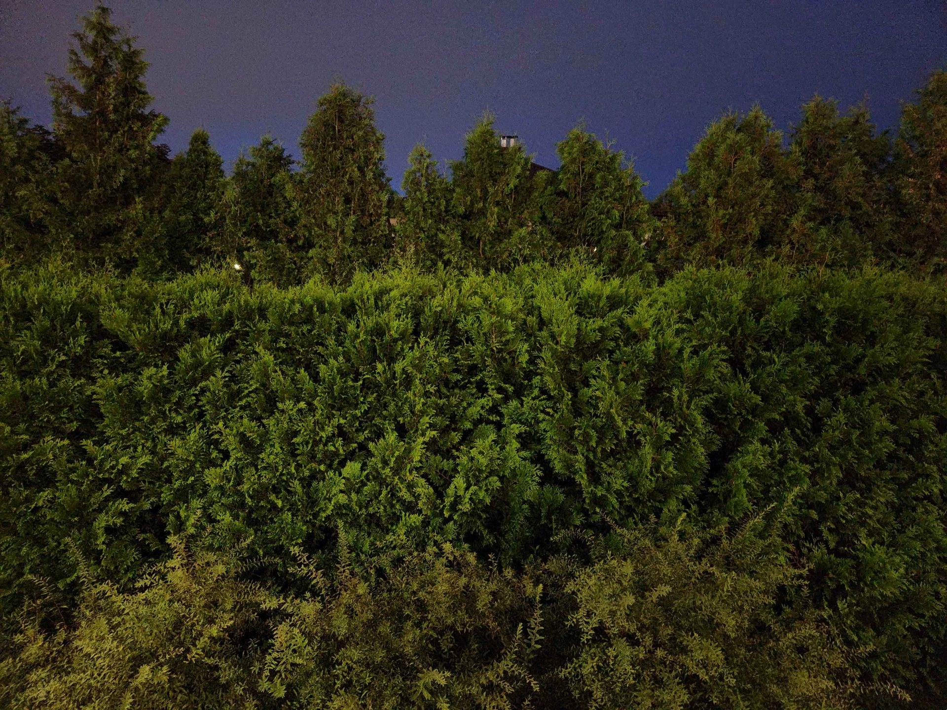 Autumn 11 (October 2025), Used in channel outros and stream screens.