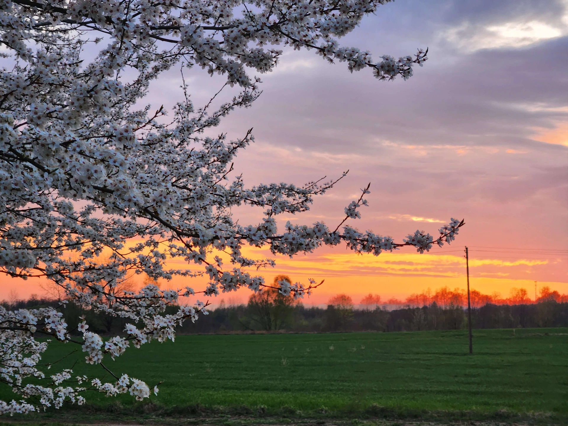 Spring 11 (May 2025), Used in channel outros and stream screens.