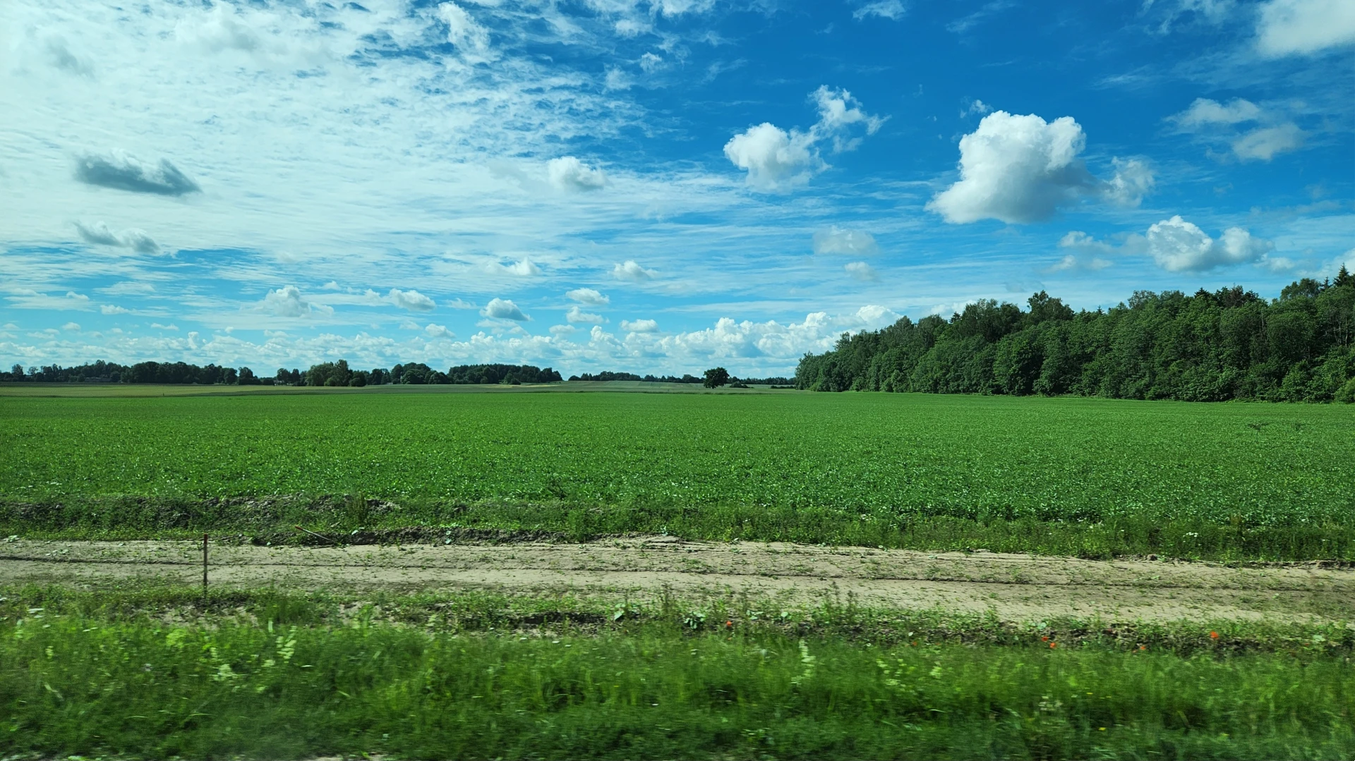 Summer 8 (July 2024), Used in channel outros and stream screens.