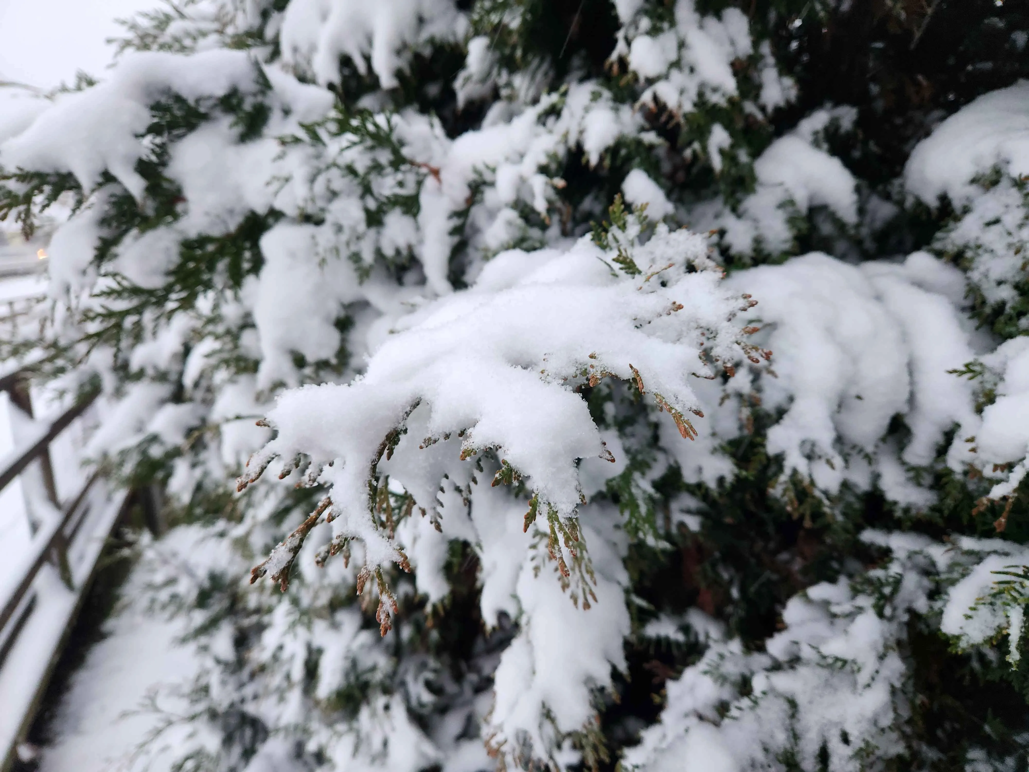 Winter 11 (December 2025), Used in channel outros and stream screens.