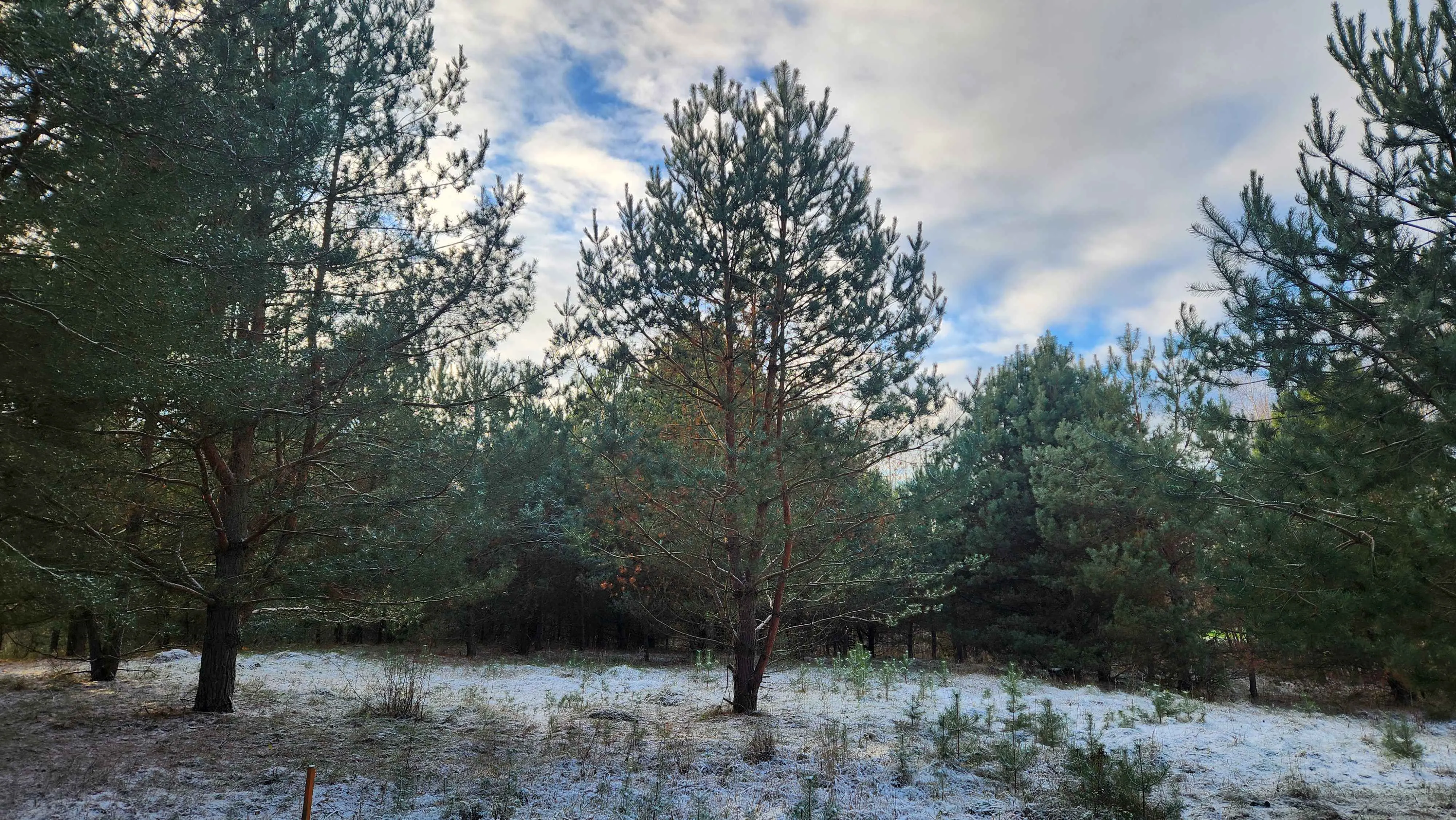 Candidate for Winter 8.