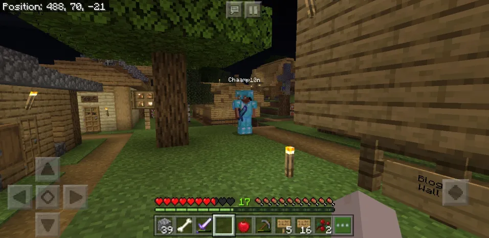 Chaamp10n standing with the spawn house in the background.